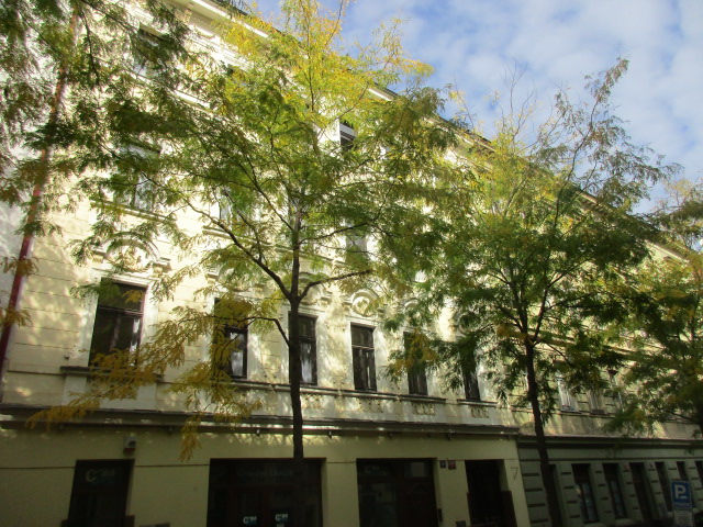 Atraktivní byt 3+1, 90 m2, OV, Praha 2 – Vinohrady