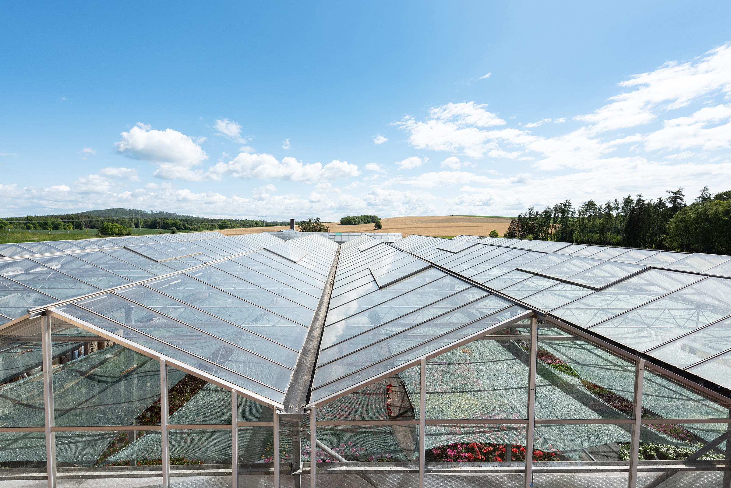 Rodinné zahradnictví s dvougeneračním RD, pozemek 7479m2, Miřetice, okres Benešov